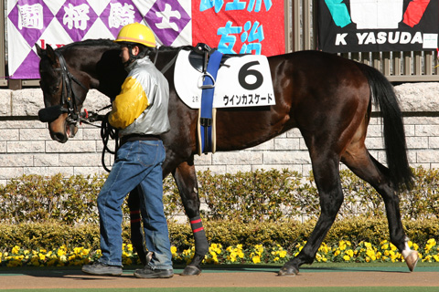 一口馬主 早仕掛けが玉にキズ